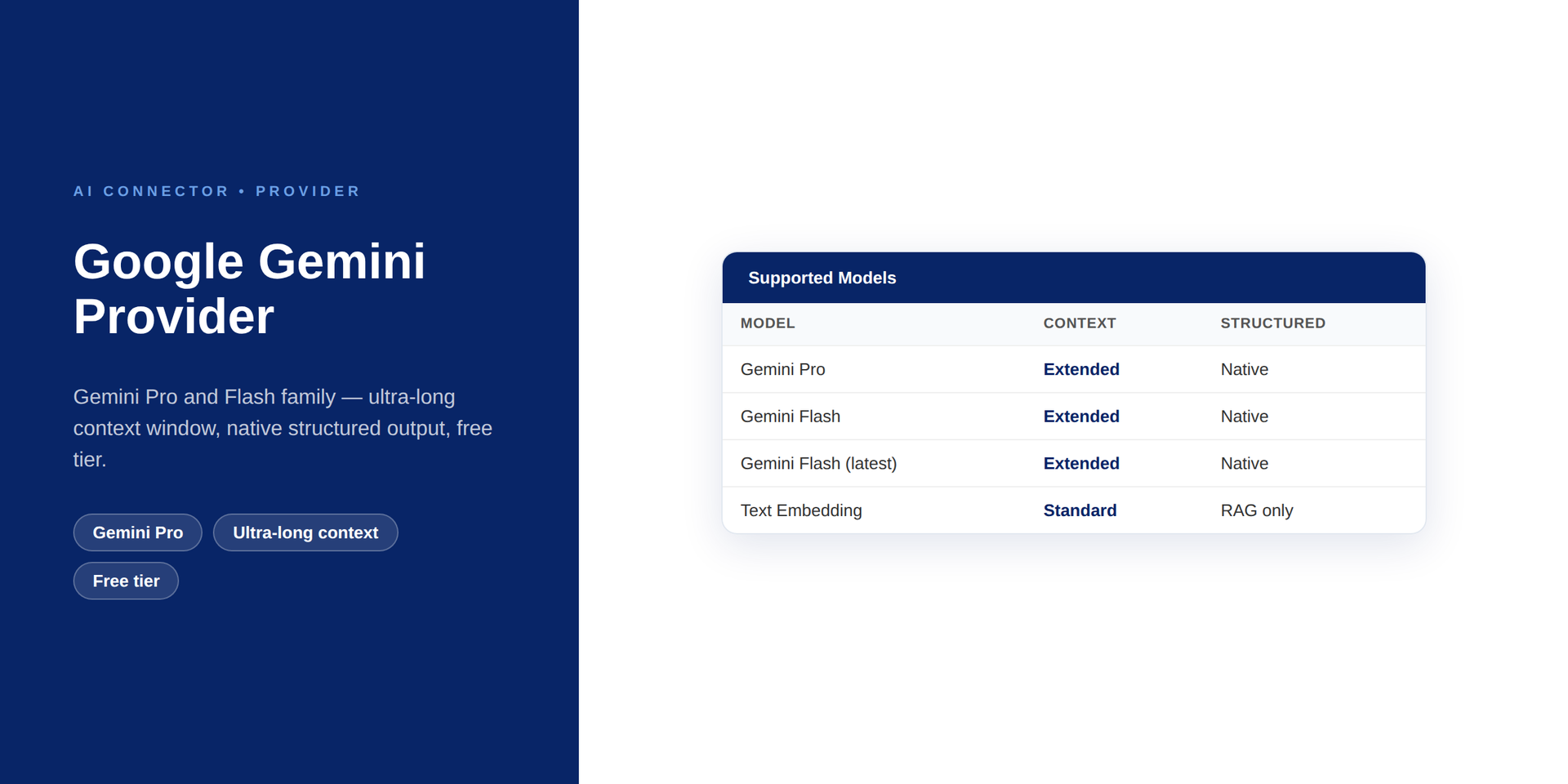 Google Gemini Provider